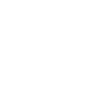 Icon Technology Solutions